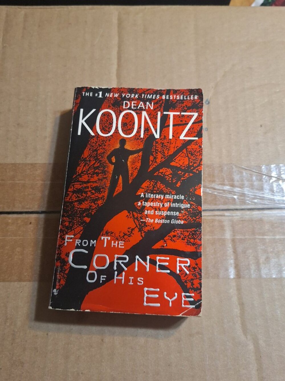 from the corner of his eye